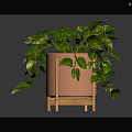Decorative Indoor Green Plant with White Spotted Leaves in Pink Pot on Wooden Stand