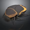 Realistic Black and Yellow Beetle With Carapace Six Legs 3D Model Dark Background