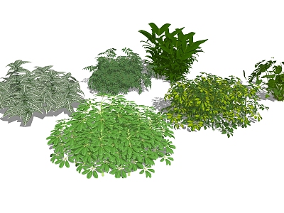 Modern shrubs model