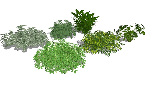 Modern shrubs 3d model