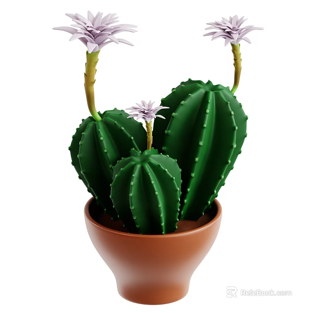 Three Green Cactus Plants Featuring Purple Flowers Growing in Brown Pot 3d model 