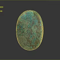 Polished Oval Turquoise Stone with Speckled Green and Brown Patterns on Dark Background