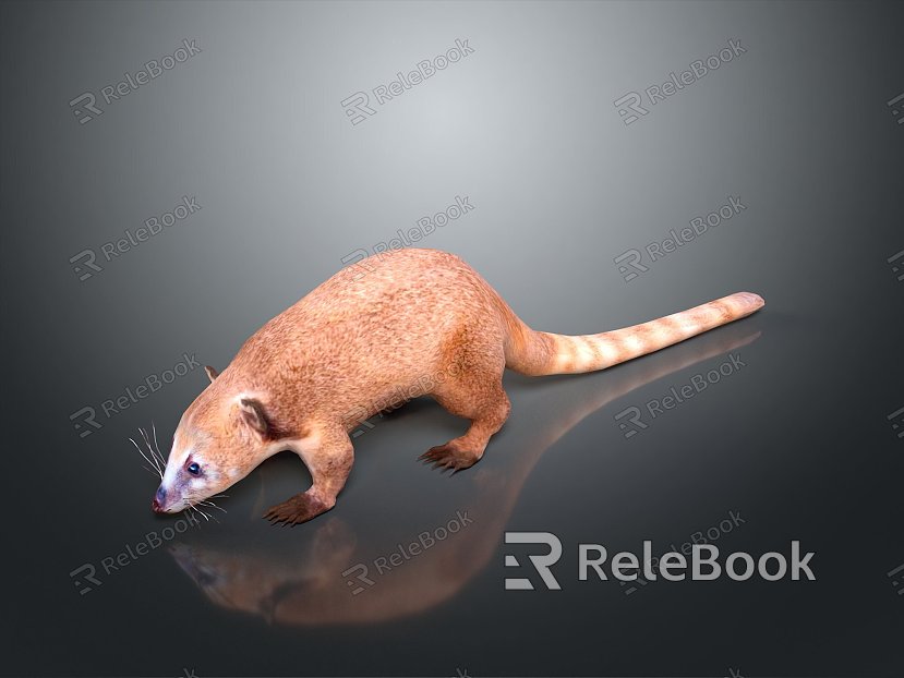 weasel animal model