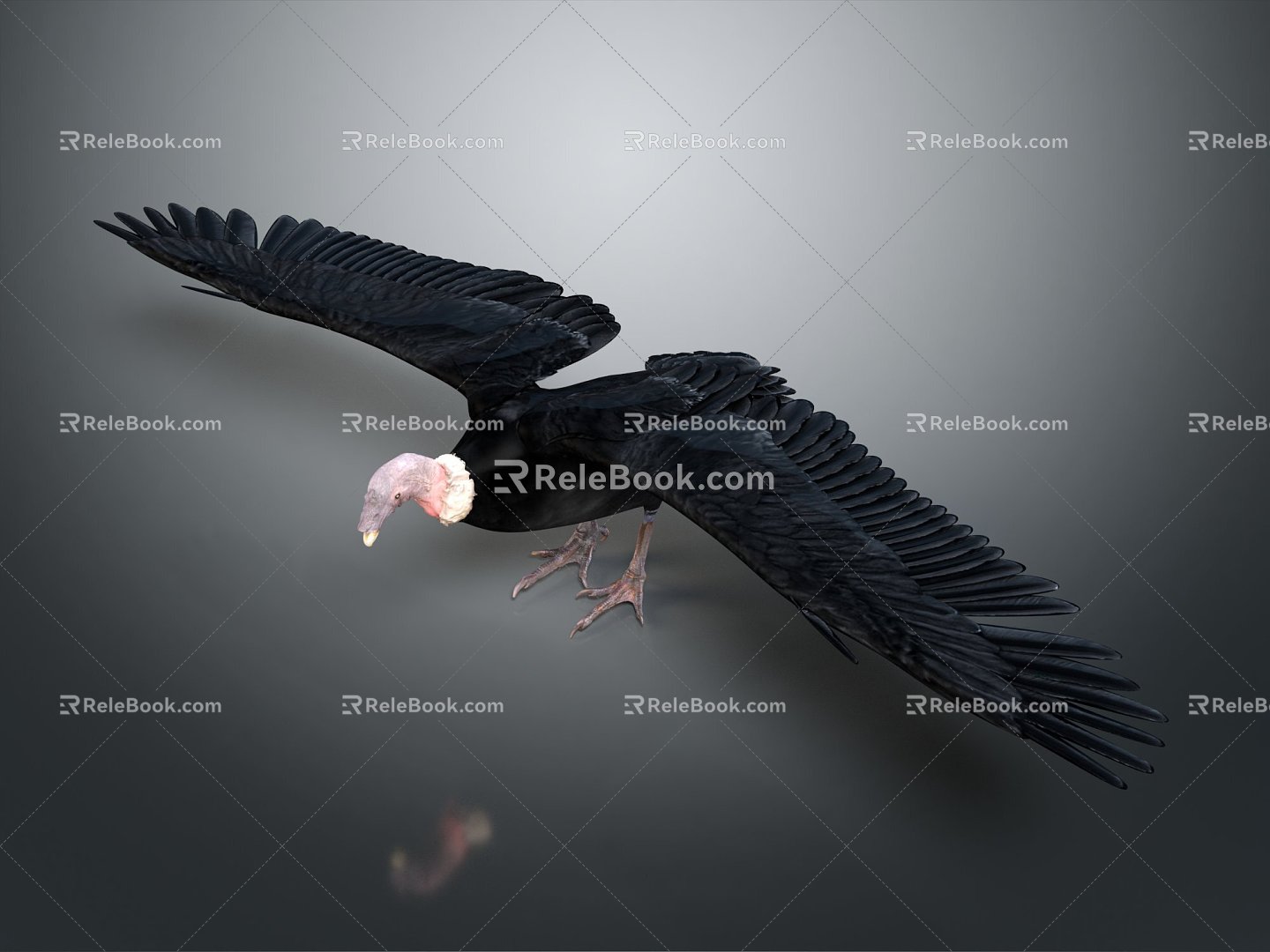 Modern Vulture Big Bird 3d model