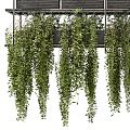 Lush Hanging Basket Plants With Multi Tiered Metal Frame And Cascading Foliage