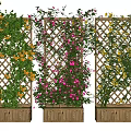 Blooming Vines on Lattice Supports in Wooden Planters with Pink and Yellow Flowers