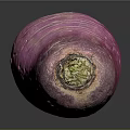 Fresh Purple Radish With White Stripes And Green Root On Black Background