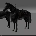 Two Gray Horses Standing Together One Without Gear And One With Saddle Harness
