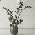 Minimalist Indoor Potted Plants with Gray Ceramic Pots and Leafy Green Foliage