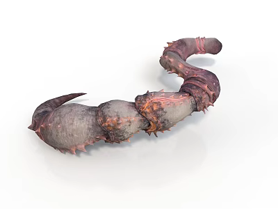 Reddish Brown Scorpion With Segmented Tail And Sharp Claws Isolated On White Background 3d model