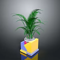 Lush Green Indoor Fern Plant In Modern Geometric Colorful Cubic Planter