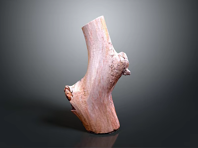 Natural Plant Wooden Stump with Smooth Texture and Irregular Shape as Decorative Element 3d model