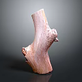 Natural Plant Wooden Stump with Smooth Texture and Irregular Shape as Decorative Element