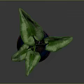 Vibrant Green Leafy Plant in Blue Pot with Orange Decorative Patterns