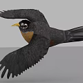 Realistic Bird Standing With Spread Black Wings Orange Breast And Yellow Beak