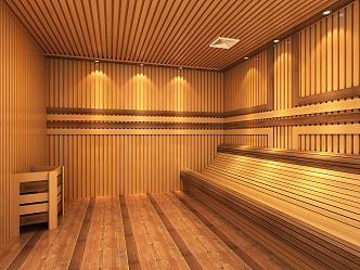 Modern Sauna Room 3d model