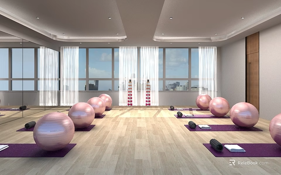 Spacious Fitness Room With Pink Exercise Balls Yoga Mats Dumbbells Large Windows And Wooden Floor 3d model 