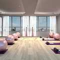 Spacious Fitness Room With Pink Exercise Balls Yoga Mats Dumbbells Large Windows And Wooden Floor