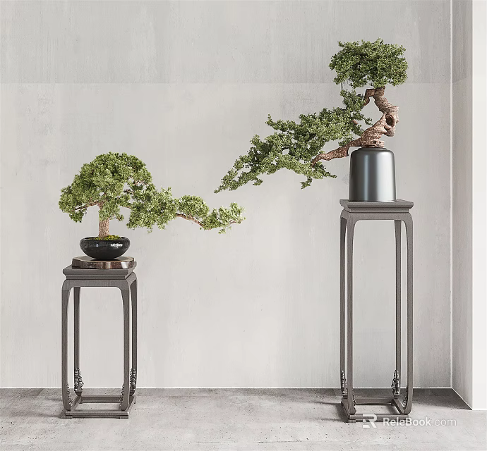 Elegant Bonsai Trees on Tall and Short Black Pedestals Against Light Gray Wall 3d model 