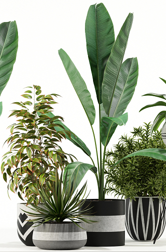 Modern potted plant collection 3d model