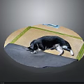 Tatami Mat With Black And White Cat Lying On Gray Cloth