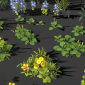 Colorful Green Blue Yellow Purple Grass And Flowers Plant Collection