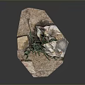 Green Cactus Plant With Small Buds Growing On Rocky Soil Surface