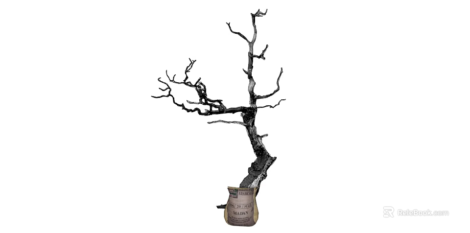 Bare Arbor With Twisted Branches And Thick Trunk In Old Bark Sack 3d model