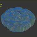 Wood Stone Terrain Model With Winding Path Green Brown Textured Surface 3d model