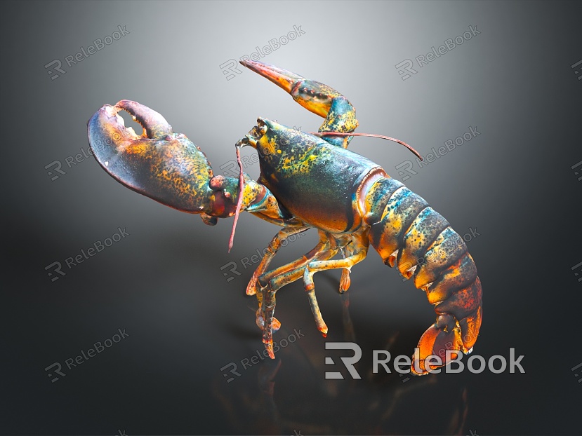 Modern Lobster model