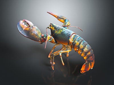 Modern Lobster 3d model