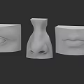 3D Models of Human Facial Features Eye Nose Mouth in White Sculpture with Dark Background