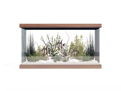 Modern fish tank model