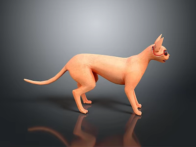3D Rendering of Standing Hairless Cat With Light Orange Color and Gray Background 3d model
