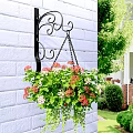 Hanging Vine Plants In Flower Pots On Wrought Iron Hooks White Brick Wall