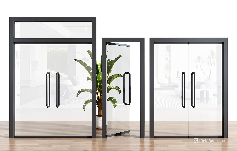 Modern Glass Doors With Black Frames And Green Plant On Wooden Floor Interior 3d model 
