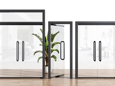 Modern Glass Doors With Black Frames And Green Plant On Wooden Floor Interior 3d model