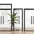 Modern Glass Doors With Black Frames And Green Plant On Wooden Floor Interior