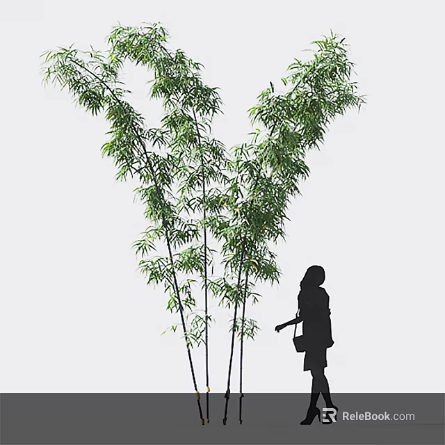 Tall Bamboo Plants With Silhouette Of A Person 3d model 