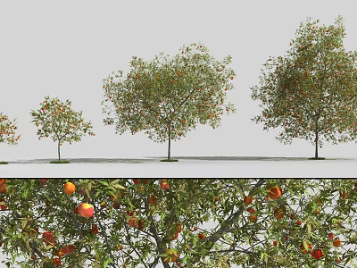 Diverse Arbor Trees With Green Leaves And Red Fruits In Garden Landscape 3d model