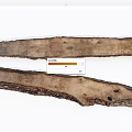Natural Wood And Stone Slabs With Textured Surface And Bark Details