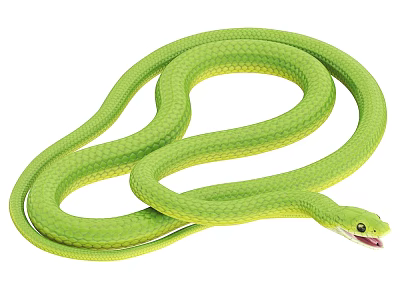 Vibrant Green Reptile Snake Coiled With Open Mouth And Smooth Scales 3d model