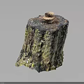 Wooden Tree Stump Decor Piece Featuring Natural Mossy Texture And Small Woven Basket