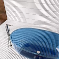 Transparent Blue Bathtub In Bathroom With White Striped Tiles And Silver Faucet