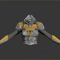 Ornate Medieval Hooded Armor With Silver Gold Accents And Shoulder Arm Details