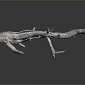 Natural Dry Wooden Branch With Rough Texture And Decorative Shape 3d model