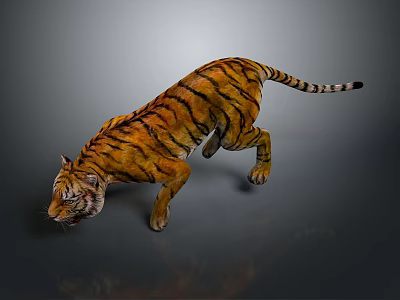 Tiger with orange and black stripes walking on gray background with reflection 3d model