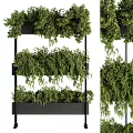 Decorative Ornament Set With Multi Tiered Black Metal Shelf And Lush Green Hanging Plants