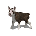 Dog 3d model