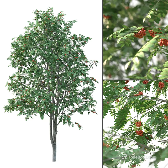 Decorative Ornament Set With Artificial Tree Green Leaves And Red Fruits For Home Decor 3d model 